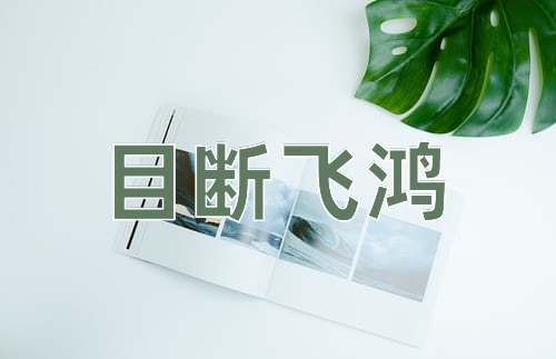 成语目断飞鸿