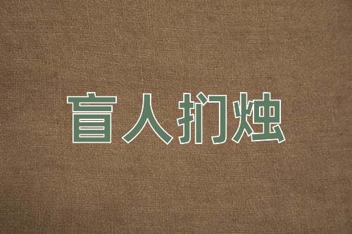 成语盲人扪烛