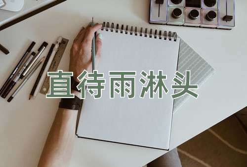 成语直待雨淋头