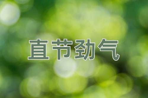 成语直节劲气