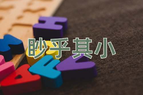 成语眇乎其小