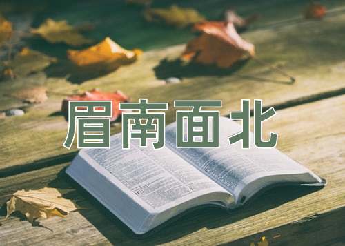 成语眉南面北