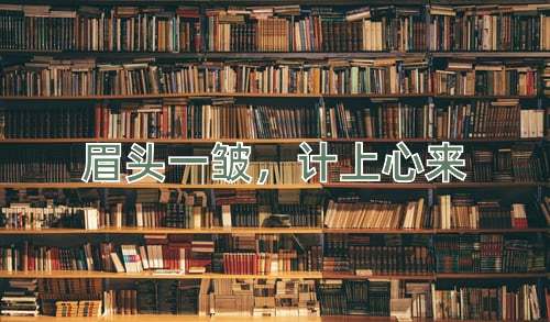 成语眉头一皱，计上心来