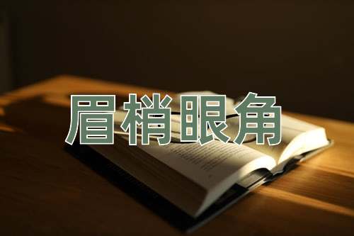 成语眉梢眼角