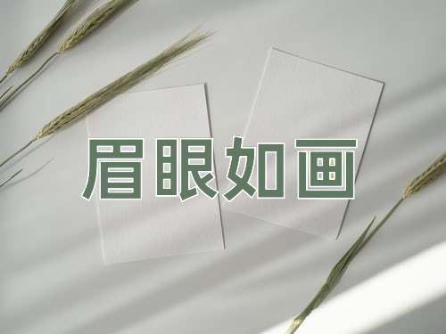 成语眉眼如画