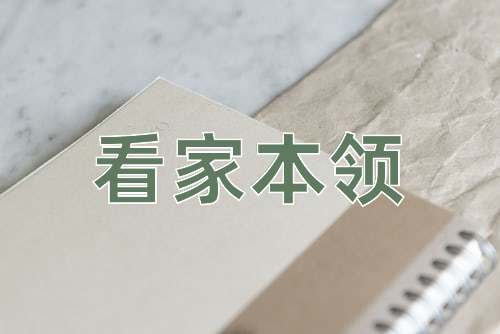 成语看家本领