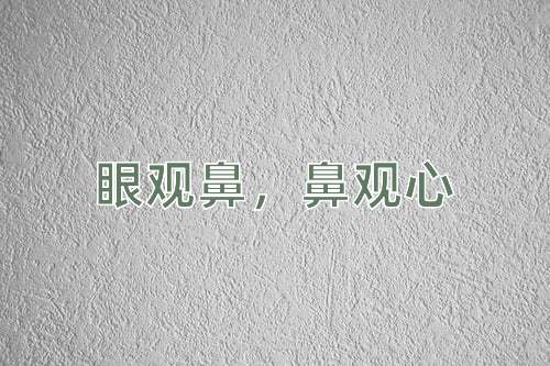 成语眼观鼻，鼻观心