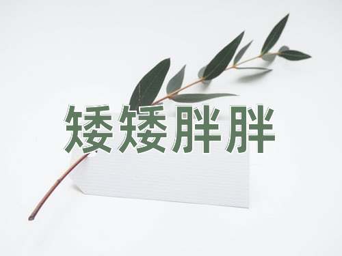 成语矮矮胖胖