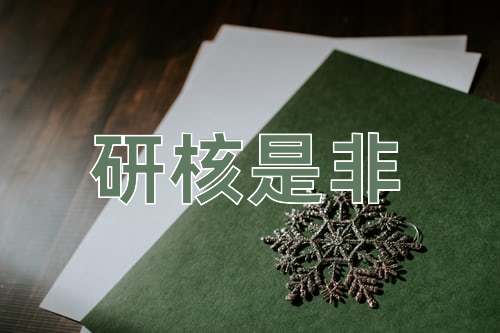 成语研核是非