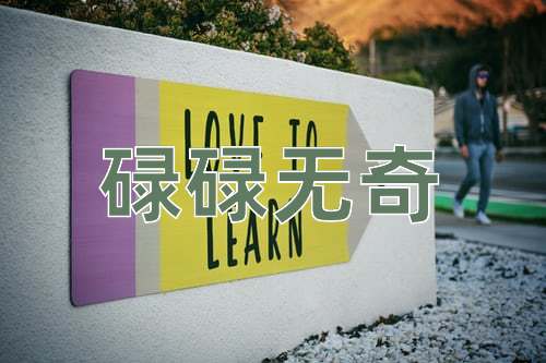 成语碌碌无奇