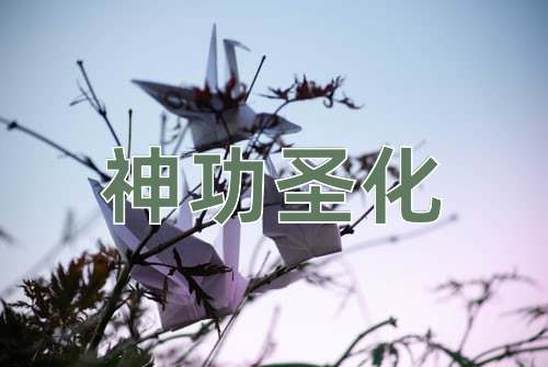 成语神功圣化