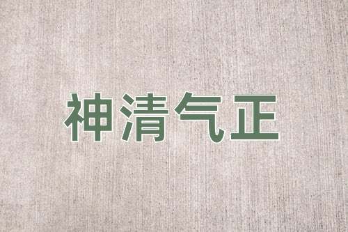成语神清气正