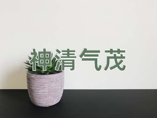 成语神清气茂