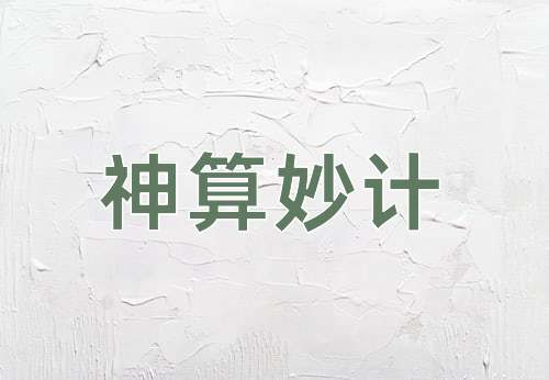 成语神算妙计