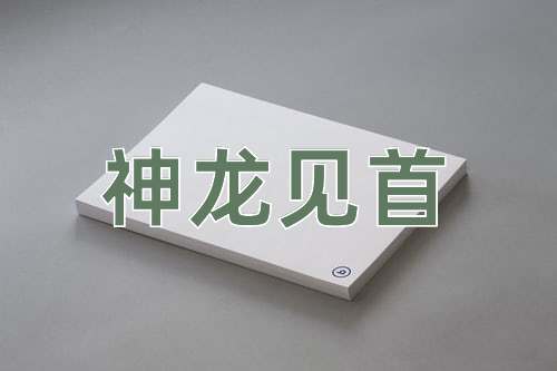 成语神龙见首