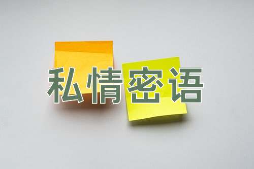 成语私情密语
