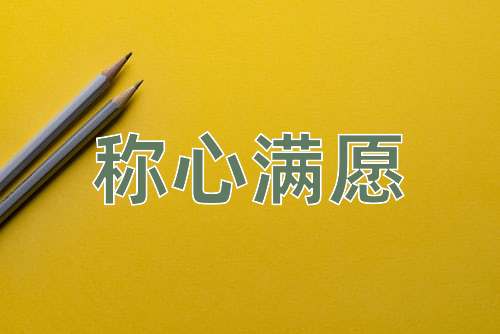 成语称心满愿
