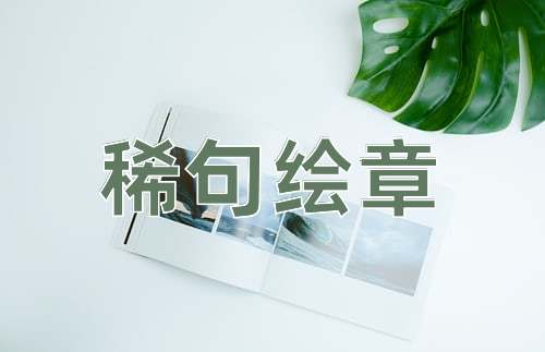 成语稀句绘章