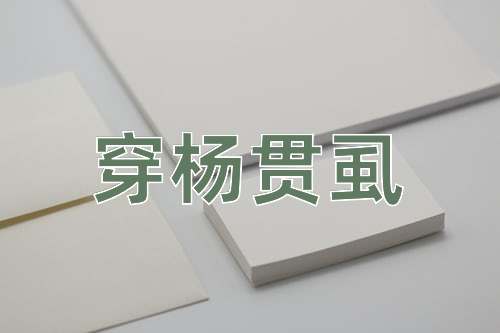 成语穿杨贯虱