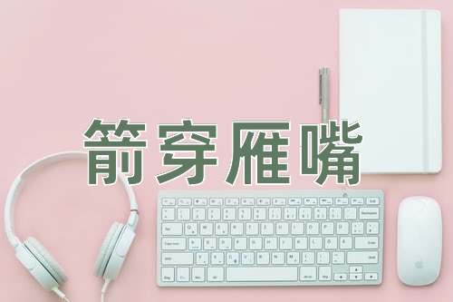 成语箭穿雁嘴