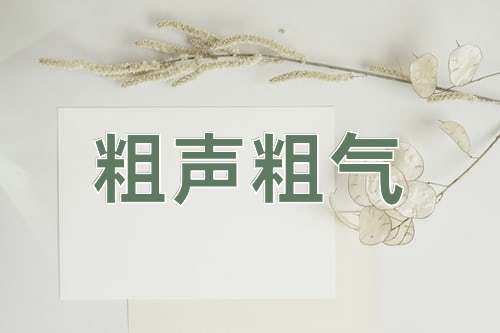成语粗声粗气