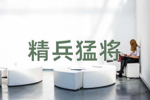 成语精兵猛将