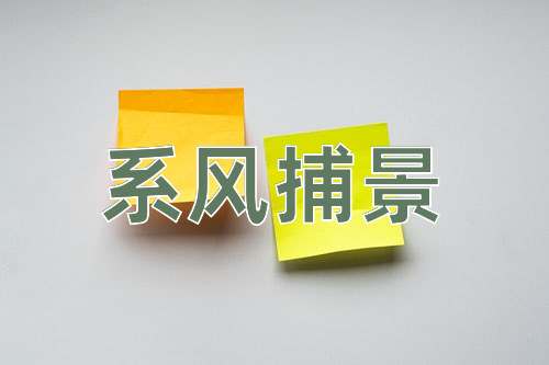 成语系风捕景