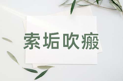 成语索垢吹瘢