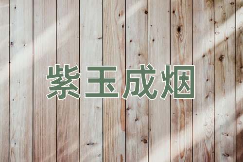 成语紫玉成烟