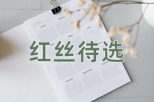 成语红丝待选