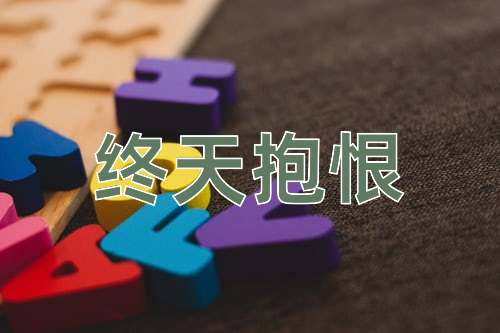 成语终天抱恨