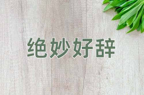 成语绝妙好辞