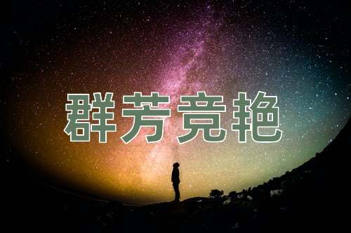 成语群芳竞艳