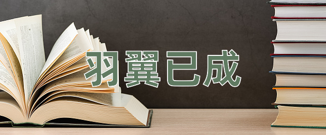 成语羽翼已成