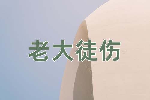 成语老大徒伤