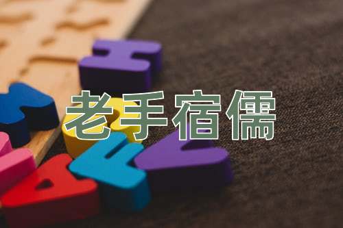成语老手宿儒
