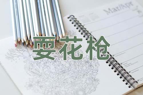 成语耍花枪