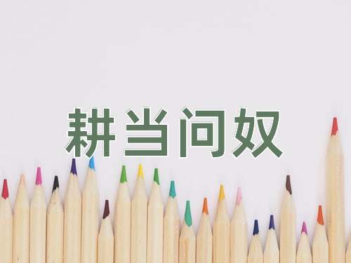 成语耕当问奴