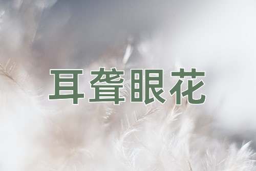 成语耳聋眼花