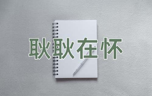 成语耿耿在怀