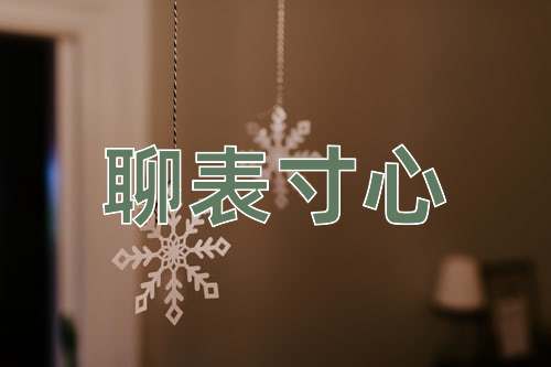 成语聊表寸心