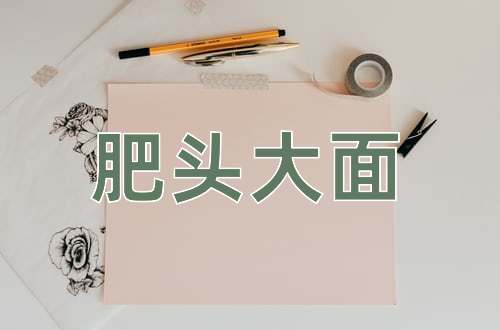 成语肥头大面