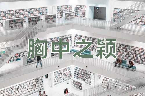 成语胸中之颖