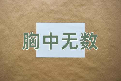 成语胸中无数