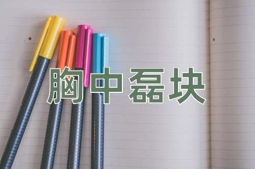 成语胸中磊块