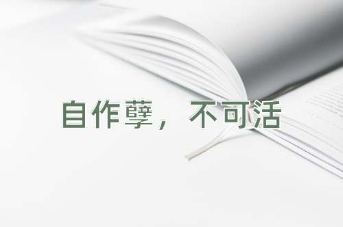 成语自作孽，不可活