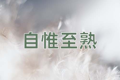 成语自惟至熟