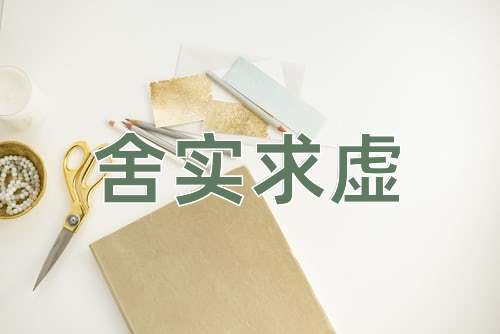 成语舍实求虚