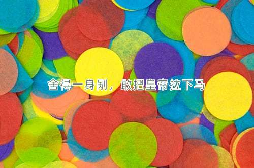 成语舍得一身剐，敢把皇帝拉下马