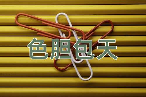 成语色胆包天